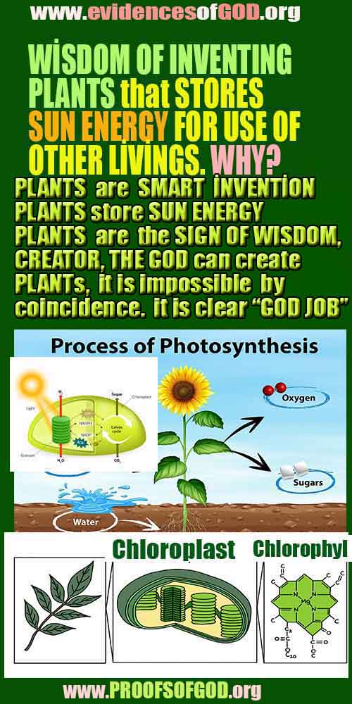 proofs of god, evidences of God scientific proof of God  