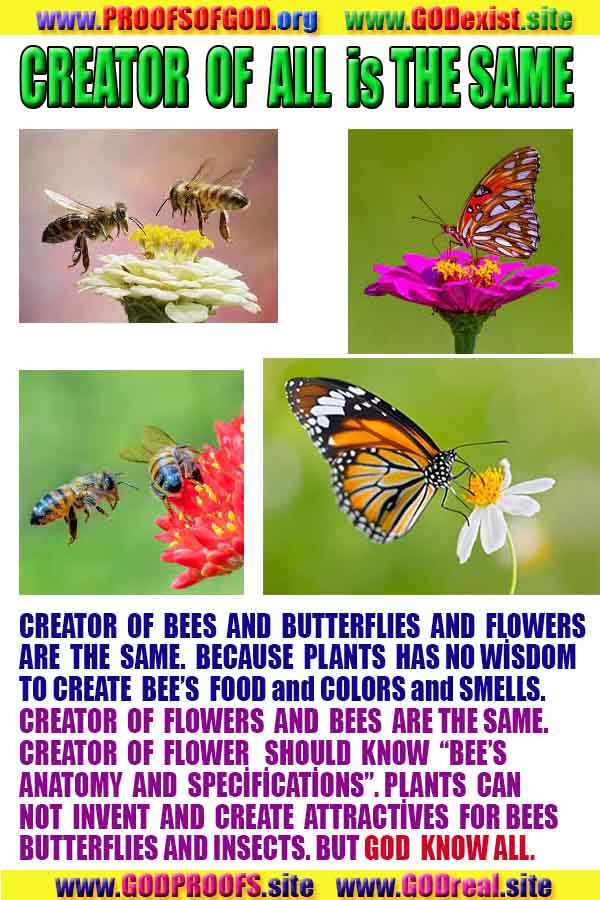 proofs of god, evidences of God scientific proof of God  