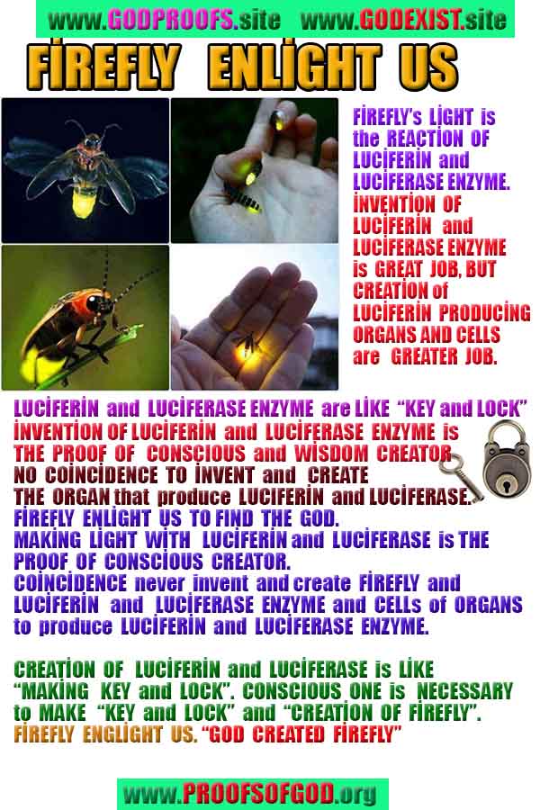 proofs of god, evidences of God       