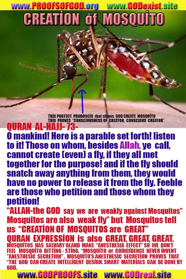 proofs of god, evidences of God     