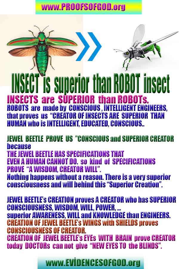 proofs, signs, evidences of God